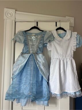 Cinderella & Alice in Wonderland Costume